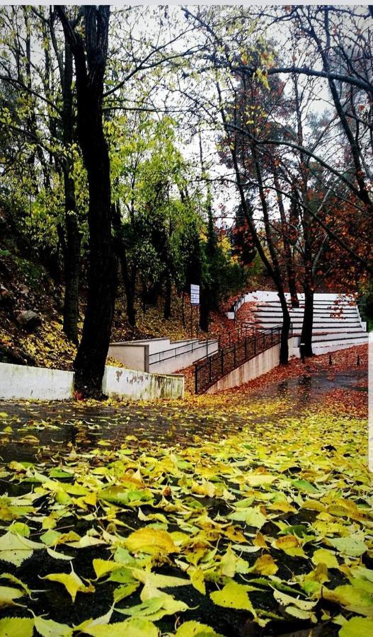 Apartamento Rural Alfawara Alfafara Kültér fotó